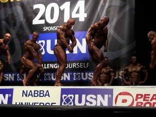 Muscle bulls nabba universe 2014, comparação de profissionais 1